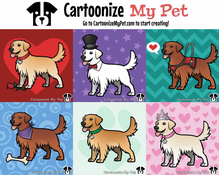 Cartoonize My Pet - Cartoon Customizable Gifts For Pet Lovers | Gifts For  Pet Lovers, Pets, Dog Sweater