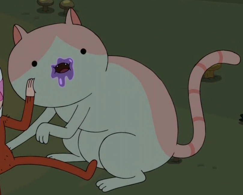 Timmy | Adventure Time Wiki | Fandom