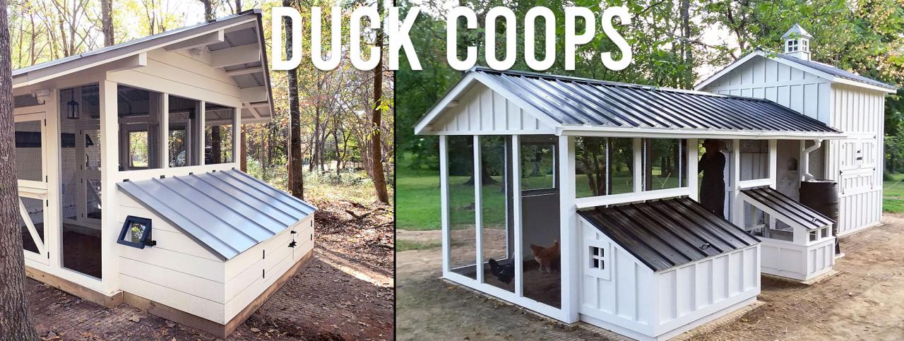 Duck Coops | Carolina Coops