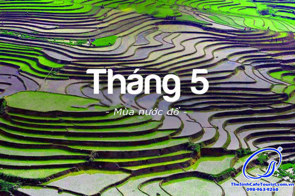 Du Lịch Sapa Tháng 5 Có Gì Đặc Biệt Không - Thesinhcafetourist.Com.Vn