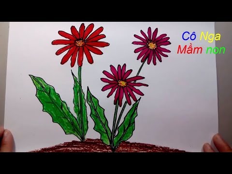 Vẽ Hoa Đồng Tiền - Hoa Domg Tien- How To Draw Flowers - Youtube