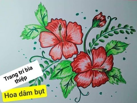 Cách Vẽ Hoa Dâm Bụt /Trang Trí Bìa Thiệp _ How To Draw Hibiscus Flower -  Youtube