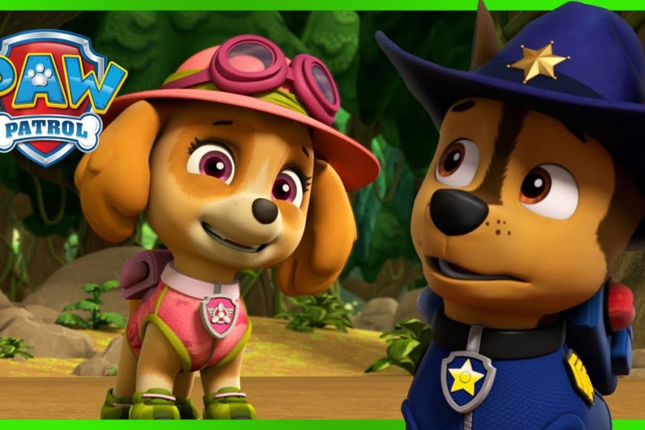 Chase And Skye Rescue Missions And More | Paw Patrol | Cartoons For Kids -  Youtube