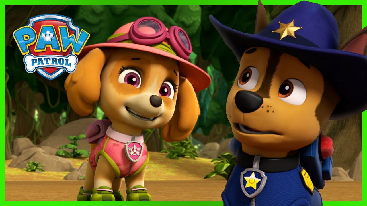 Chase And Skye Rescue Missions And More | Paw Patrol | Cartoons For Kids -  Youtube