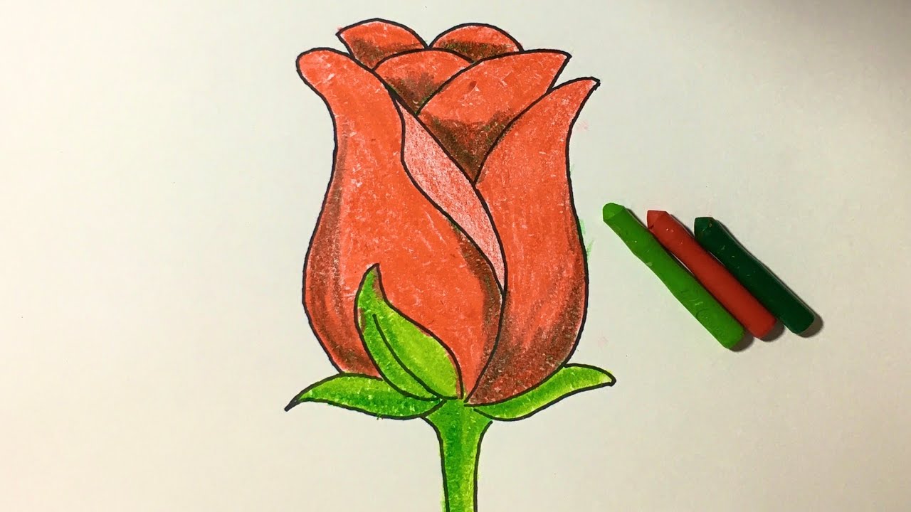 Cách Vẽ Và Tô Màu Hoa Hồng | How To Draw A Rose - Youtube