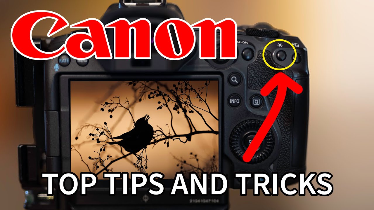 10 Best Ever Canon Tricks: Improve Your Photography With These Hacks. -  Youtube