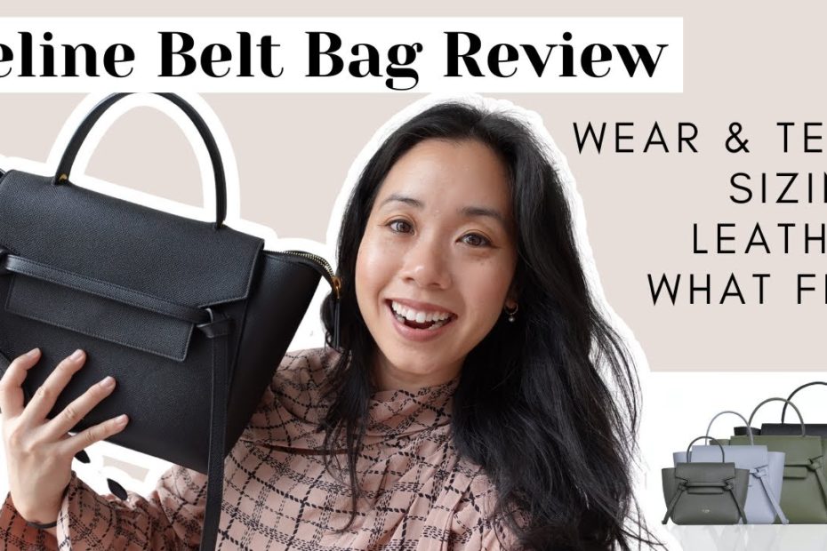 Celine Belt Bag Review | Size Comparison With Mini, Nano, Micro & Pico Bag,  Wear & Tear, Wimb - Youtube