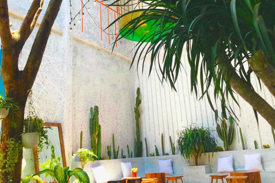 Top 33 Quán Cafe Đẹp Ở Cần Thơ Bạn Nên Biết (Cập Nhật 2023)