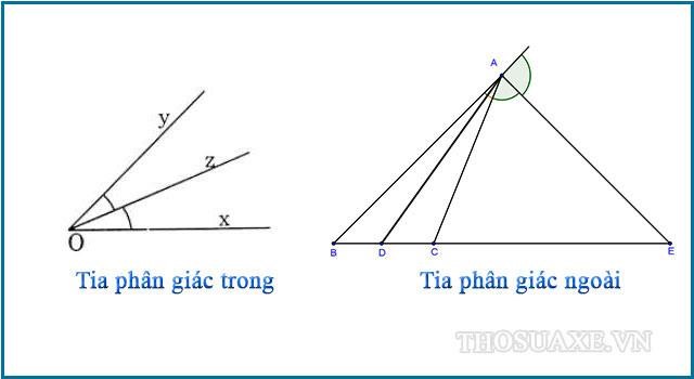 Tia Phân Giác Là Gì? Cách Vẽ Tia Phân Giác Bằng Compa Chuẩn Nhất